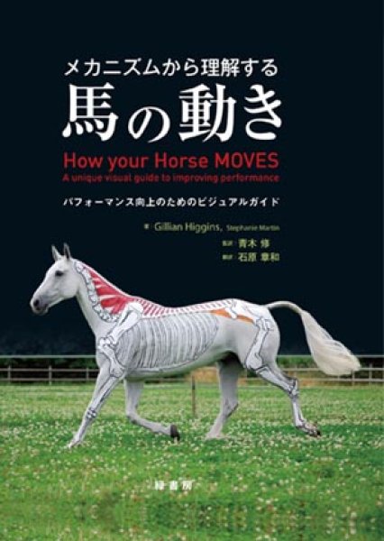 画像1: メカニズムから理解する馬の動き (1)