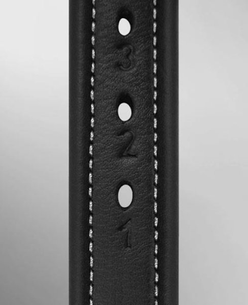 画像4: ＜PASSIER＞　ソフトタッチDXあぶみ革 (4)