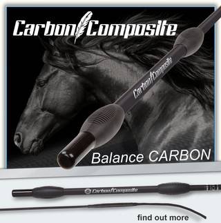 FLECK 乗馬用カーボン　短鞭、長鞭セット FLECK＞ カーボン短鞭（メタル） - Horsy Net-Store