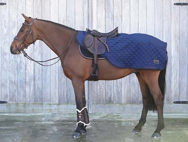 KENTUCKY＞ Riding Rug（ライディング ラグ） 160g - Horsy Net-Store