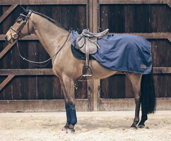 画像1: ＜KENTUCKY＞ Riding Rug All Weather （ライディングラグ オールウェザー）160g (1)