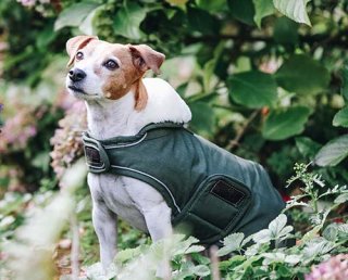KENTUCKY＞ Dog Coat Fake Fur（ドッグコート フェイクファー