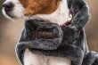 画像4: ＜KENTUCKY＞ Dog Coat Fake Fur（ドッグコート フェイクファー） (4)