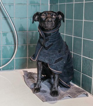 Kentucky ドッグコート Kentucky Dogwear] 防寒コート ブラック/ボルドー/ネイビー