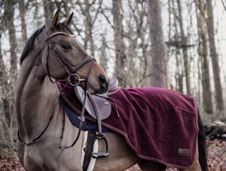 KENTUCKY＞ Quarter Rug All Weather（クォーターラグ オールウェザー