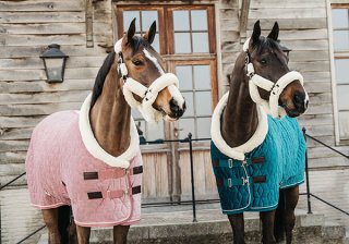 KENTUCKY Horsewear - Horsy Net-Store