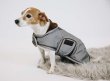 画像1: ＜KENTUCKY＞ Dog Coat Reflective & Water Repellent（ドッグコート リフレクティブ＆ウォーターリペレント） (1)
