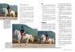 画像5: 馬と人の絆を深める乗馬術 (5)