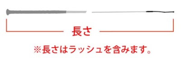 画像6: ＜FLECK＞　Green Line 長鞭 （グリーンライン） (6)