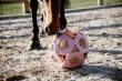 画像3: ＜KENTUCKY＞ Relax Horse Play＆Hay Ball（リラックスホースプレイ＆ヘイボール） (3)