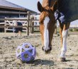 画像5: ＜KENTUCKY＞ Relax Horse Play＆Hay Ball（リラックスホースプレイ＆ヘイボール） (5)