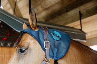 KENTUCKY Horsewear - Horsy Net-Store