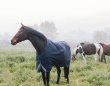 画像2: ＜KENTUCKY＞ Turnout Rug All Weather Comfort（ターンアウトラグ オールウェザー コンフォート）200g (2)