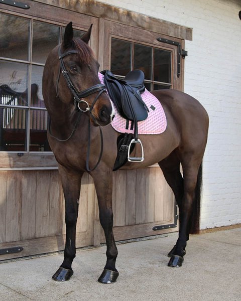 画像3: ＜KENTUCKY＞ Sammy  コレクションサドルクロス DR (3)