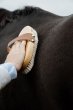 画像3: ＜GROOMING DELUXE＞ Overall Brush Body Soft Shine（オーバーオール ブラシ ボディ ソフト シャイン） (3)