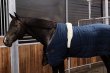 画像2: ＜KENTUCKY＞ Nylon Warker Girth（ナイロンウォーカーガース） (2)