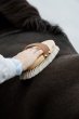 画像3: ＜GROOMING DELUXE＞ Overall Brush Body Shine（オーバーオール ブラシ ボディ シャイン） (3)