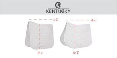 画像1: ＜KENTUCKY＞ユニコーンヘッドグリッターサドルクロス　DR
