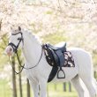 画像3: ＜IMPERIAL RIDING＞ 25AW サドルクロス Rebel（リベル）DR (3)