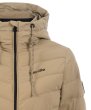 画像8: ＜CAVALLO＞ 25AW Raven（レイヴァン） (8)
