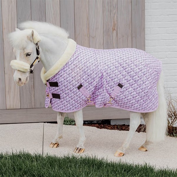 画像1: <KENTUCKY> Show Rug Sammy(ショーラグ サミー)160g (1)