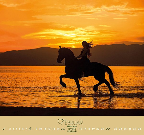 画像4: ＜BOISELLE＞ カレンダー2026 Lサイズ Friesen（フリージアン） (4)