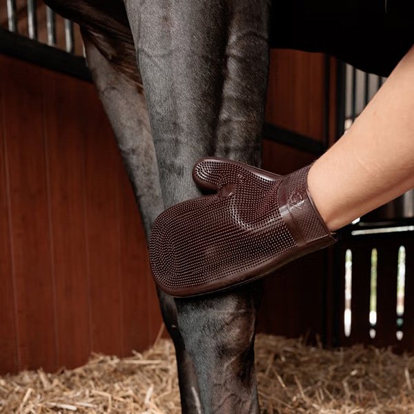 画像2: ＜GROOMING DELUXE＞ ラバーグルーミンググローブ (2)